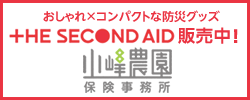 THE SECOND AID